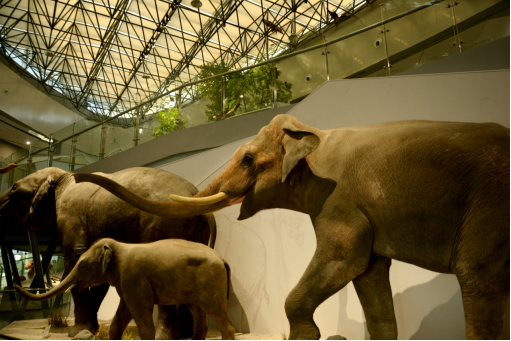 1677633151167836.jpg 1677632672795.jpg