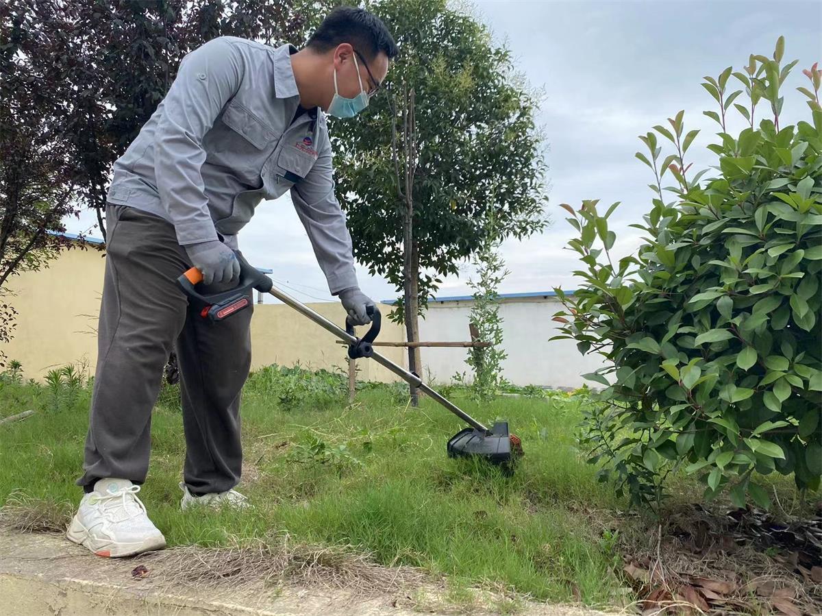 1688704048202023543.jpg 上元除草.jpg